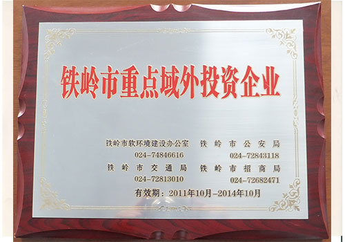 Tieling key overseas investment enterprises